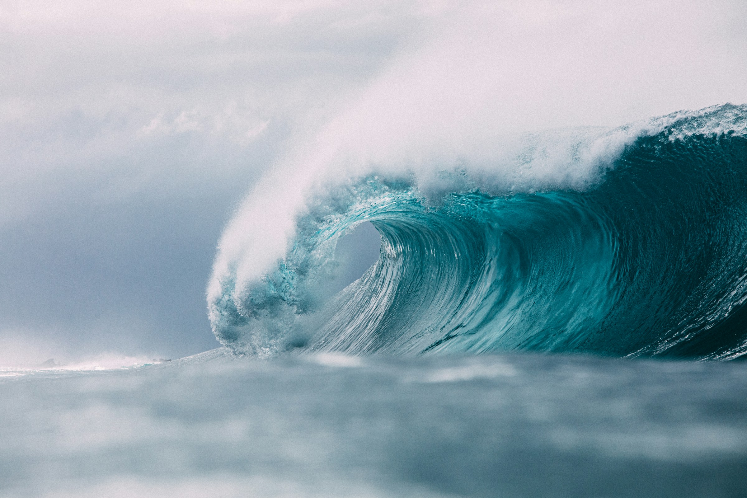 wave Foto matt paul catalano